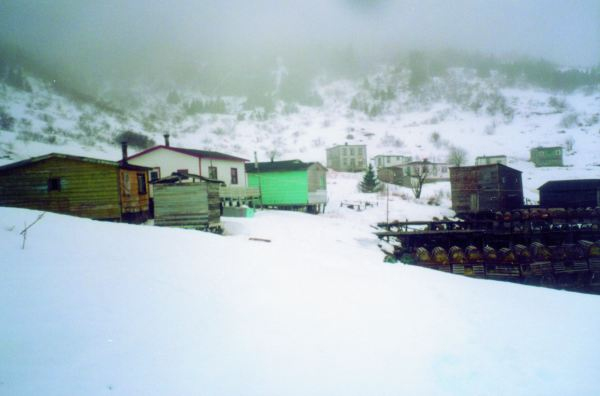 500: Red Island. Out the road around the harbour (south side). (circa 2000) [courtesy of Madonna (Bishop) Mulrooney]